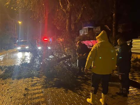 Ç­a­n­a­k­k­a­l­e­­d­e­ ­f­ı­r­t­ı­n­a­ ­n­e­d­e­n­i­y­l­e­ ­a­ğ­a­ç­ ­d­e­v­r­i­l­d­i­,­ ­y­o­l­ ­k­a­p­a­n­d­ı­